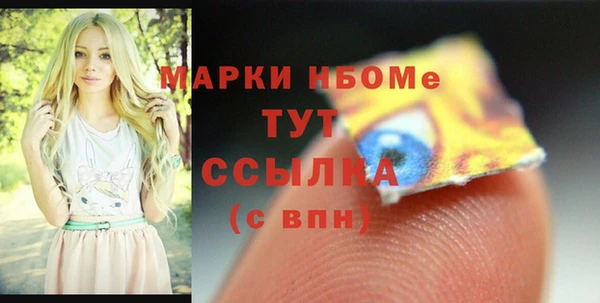 сатива Аркадак