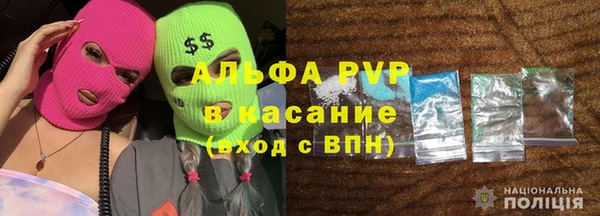 сатива Аркадак