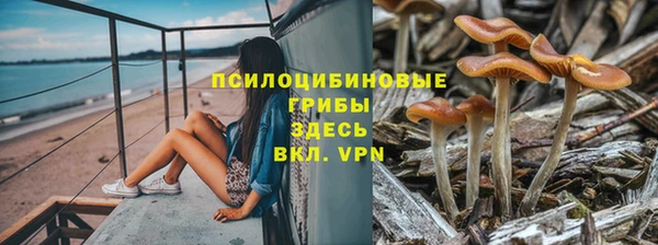марки nbome Арсеньев