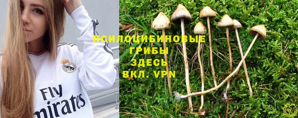 сатива Аркадак